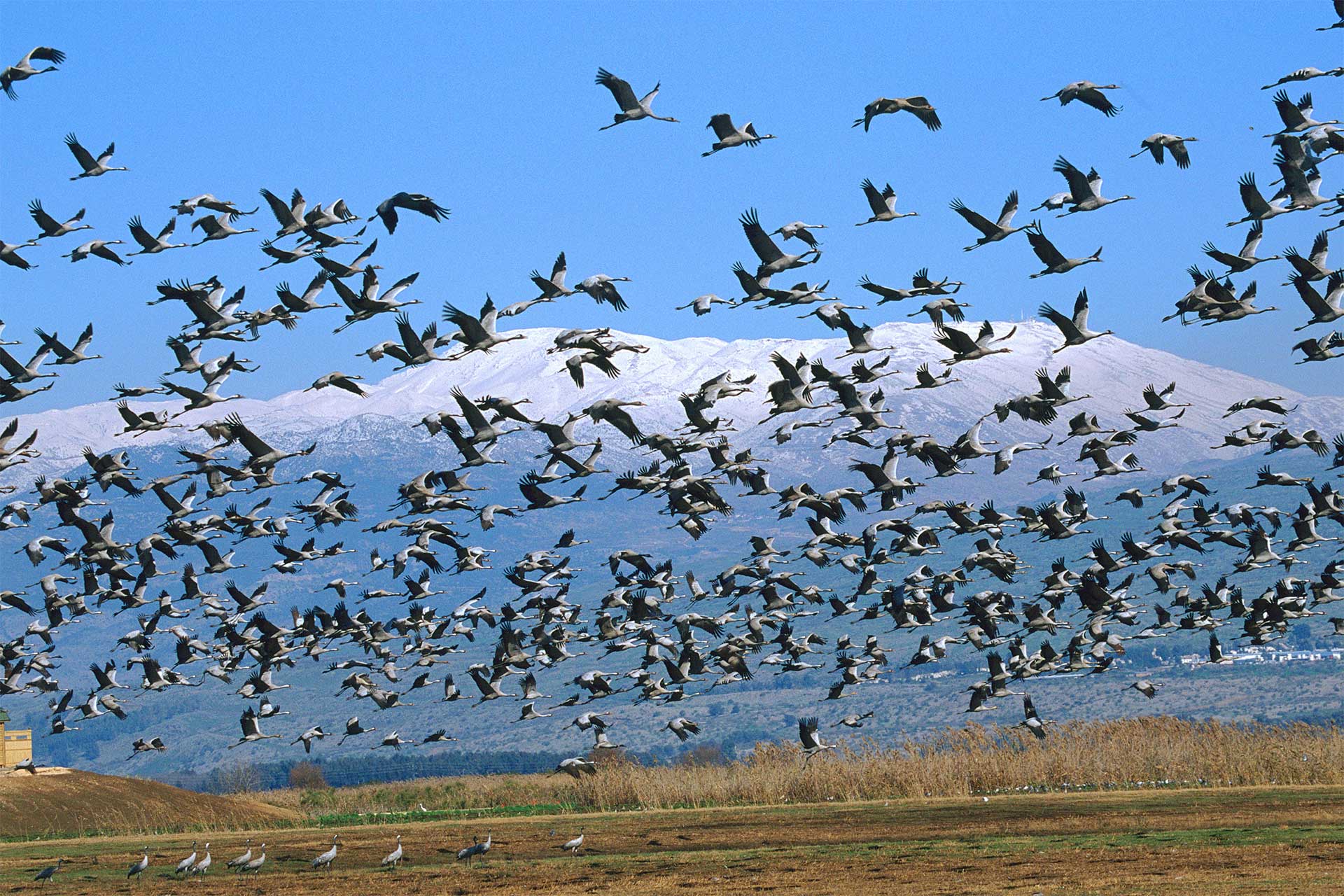 סיורי חורף בעגלות המסתור
