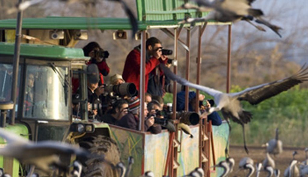Safari Wagons during Winter Season